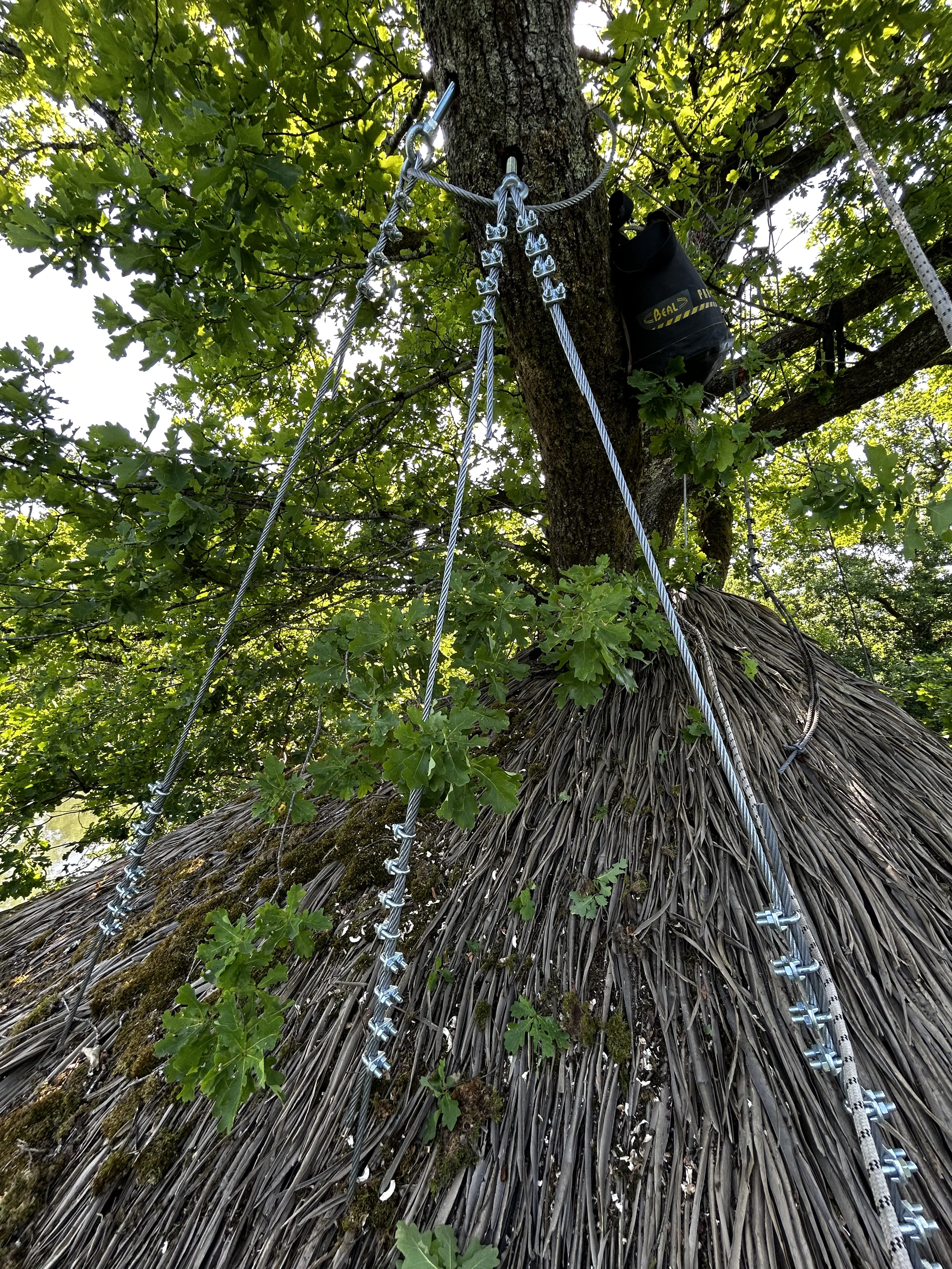 Nouveau hauban de cabane suspendue en fixation Le Clou SVA