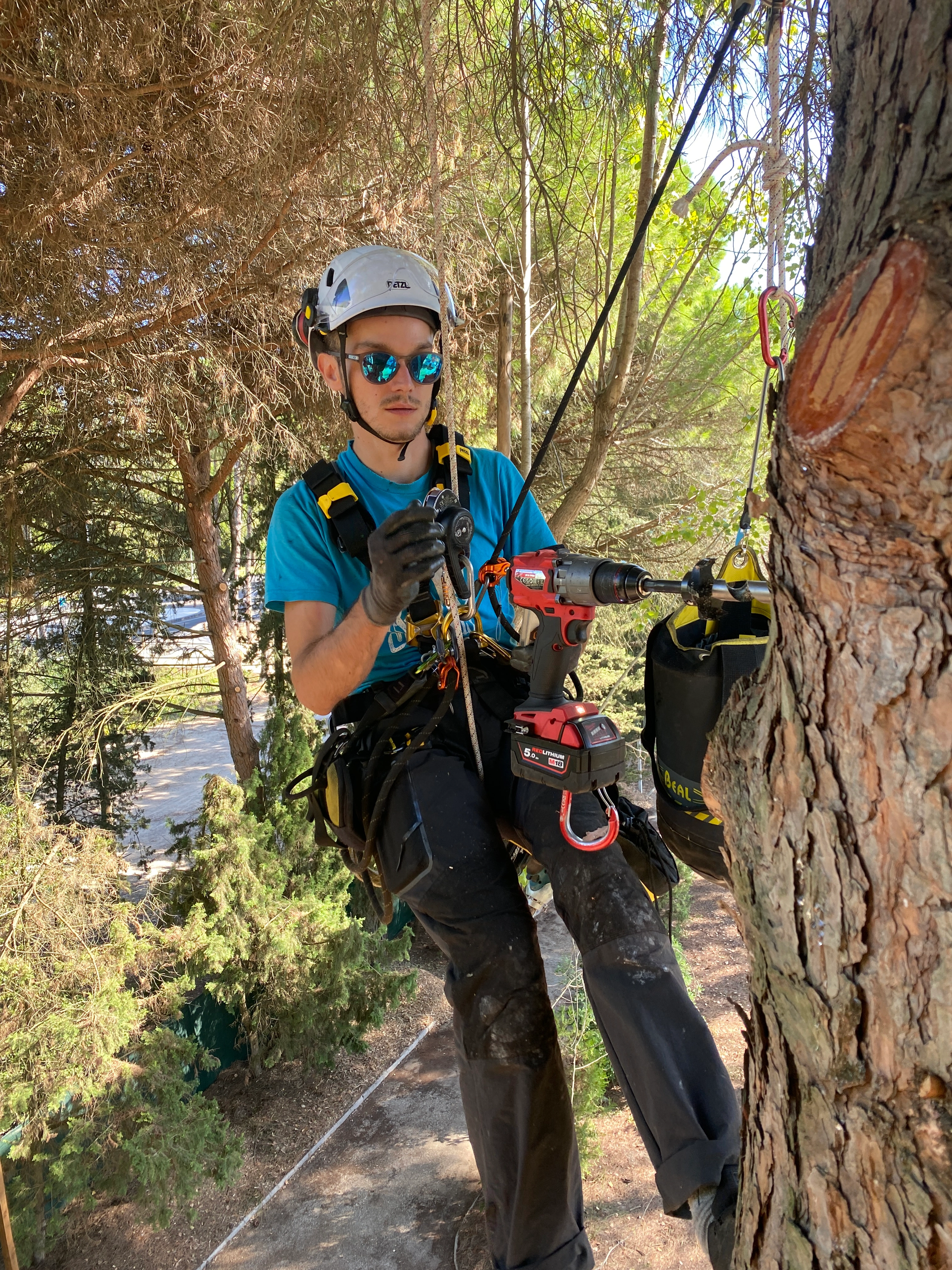 Perçage et pose clou SVA en hauteur, chantier parc accrobranche La Grande Motte