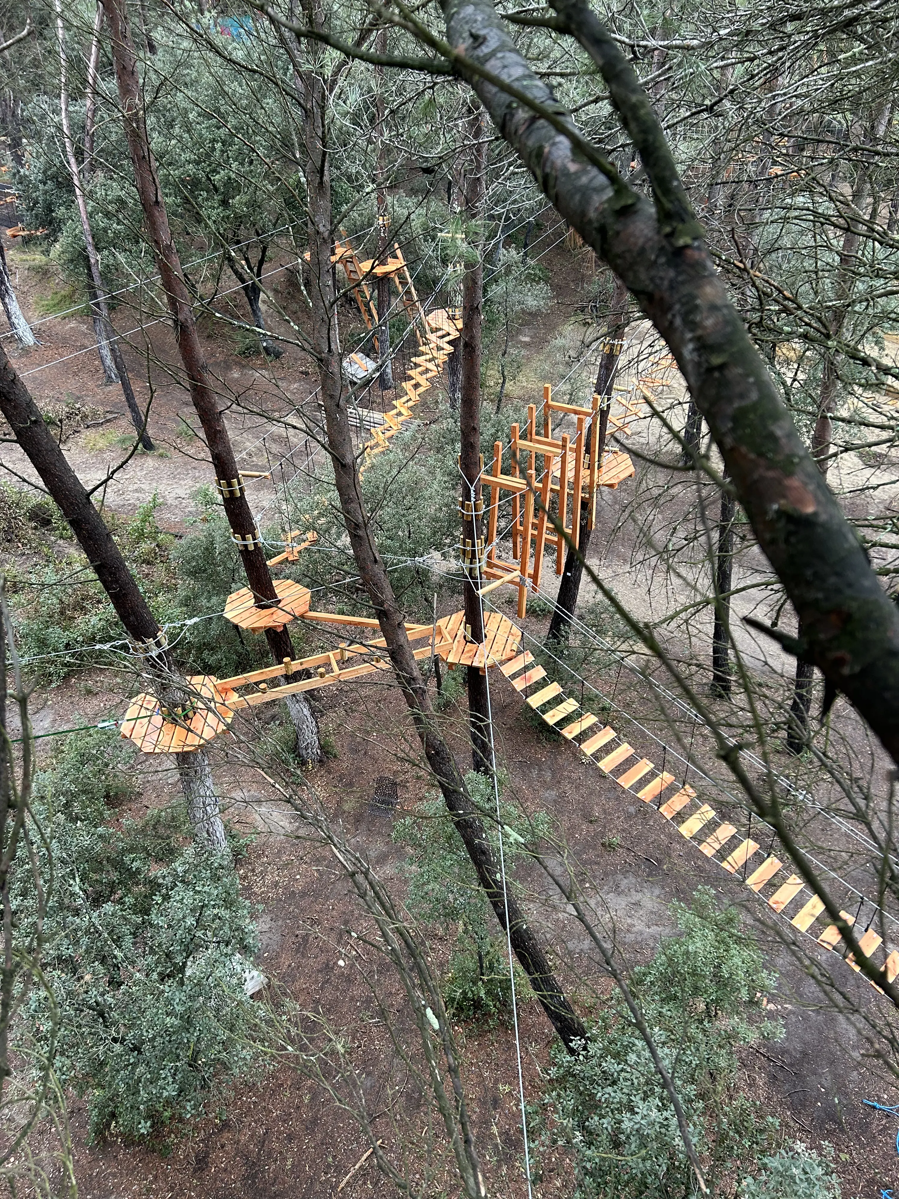 Vue aérienne d'un parc accrobranche en forêt, passerelles bois réalisées par Accros Concept