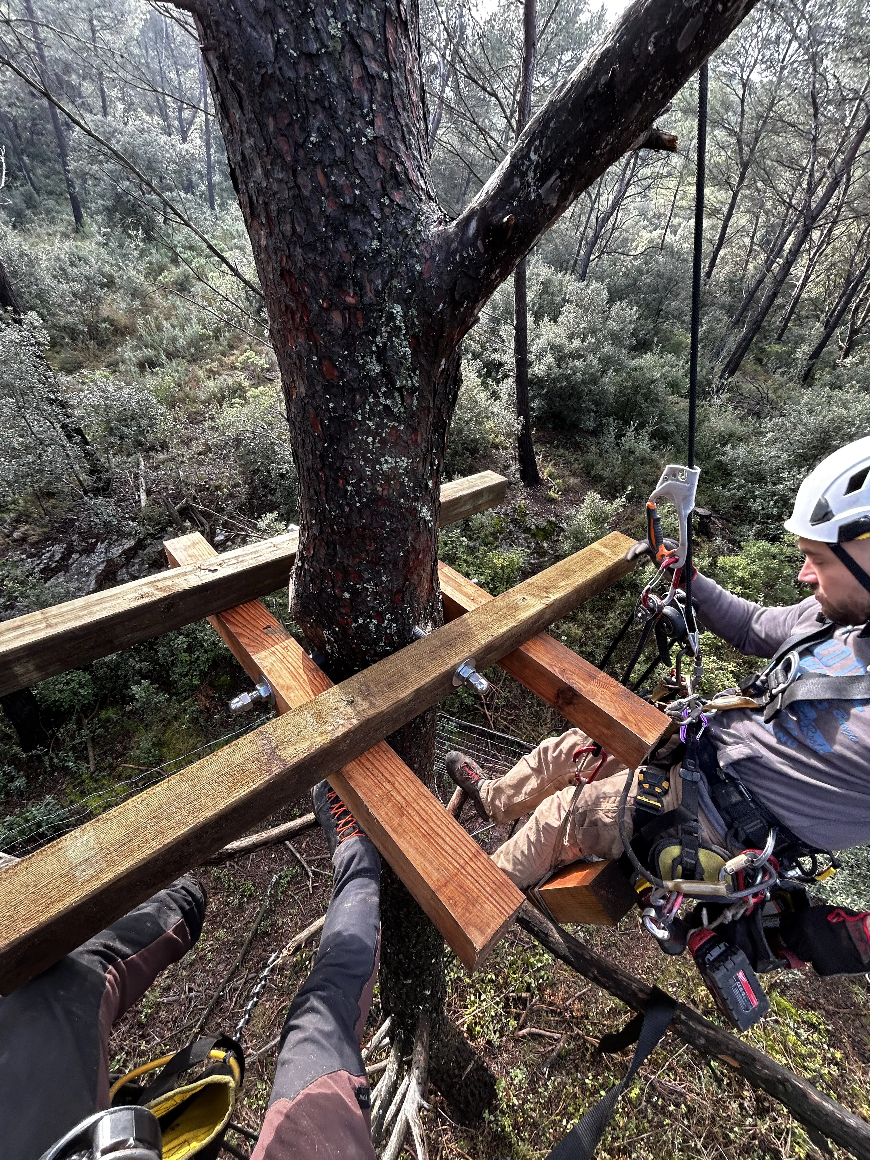Deux techniciens Accros Concept en train d'installer les fixations d'un parcours accrobranche en forêt